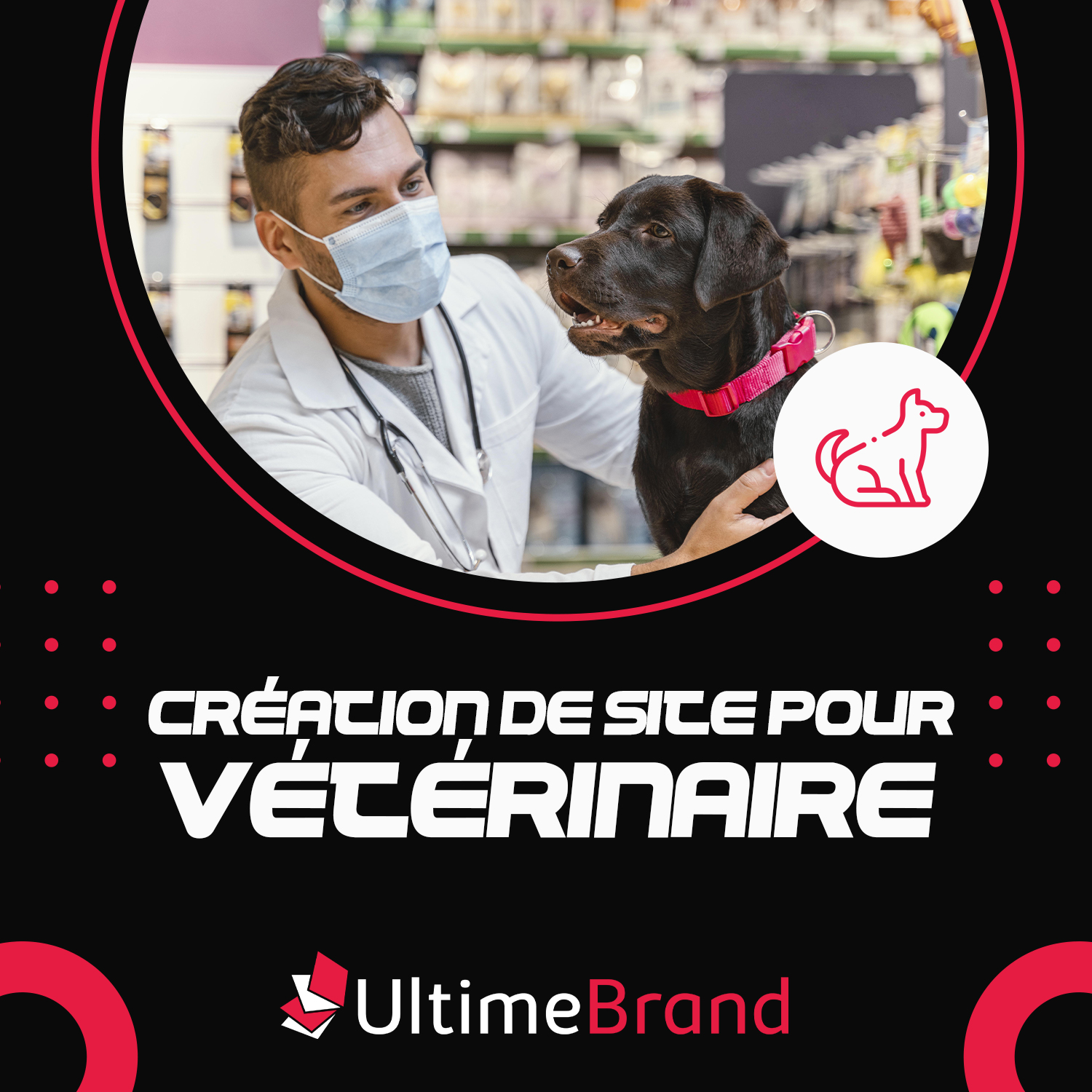 Site Internet Clé En Main Pour Vétérinaire