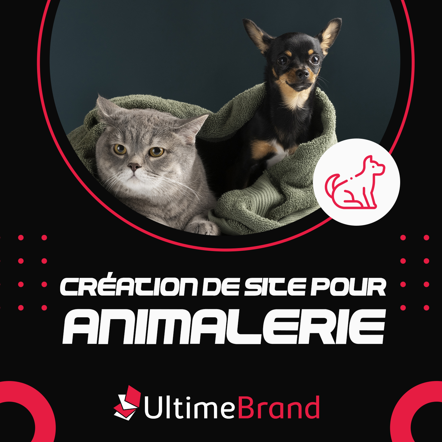 Site Internet Clé En Main Pour Animalerie