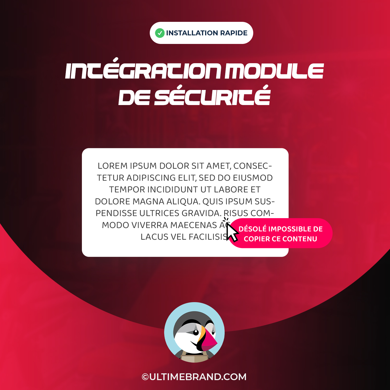 Intégration Module PrestaShop De Protection De Médias & Textes