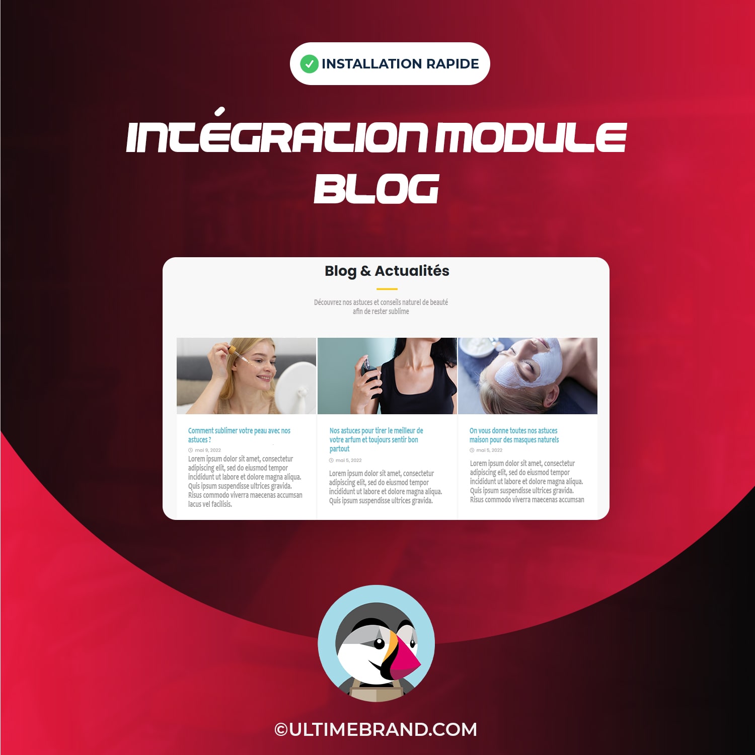 Intégration Module De Blog
